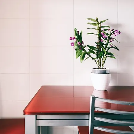 By The Sea Ii - Calmo Com Piscina E Vista Mar.